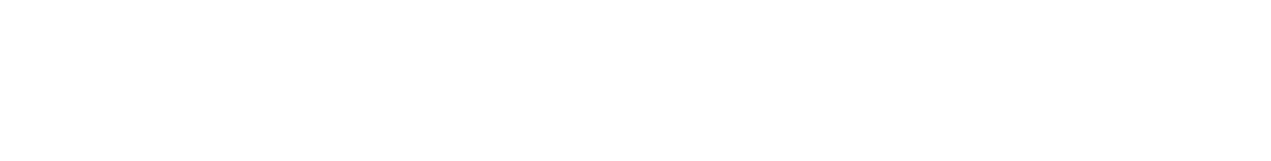 punsch.group logo